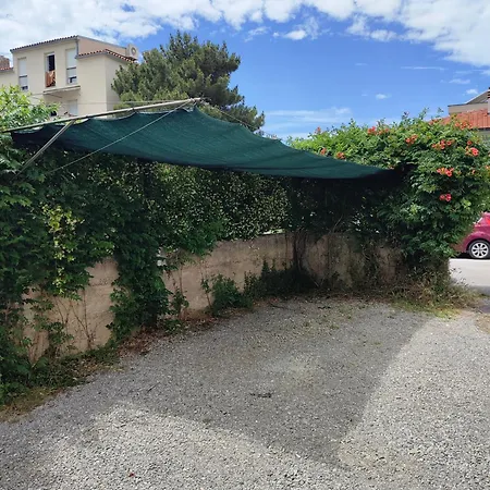 Palm Penthouse Terrace דירה *
